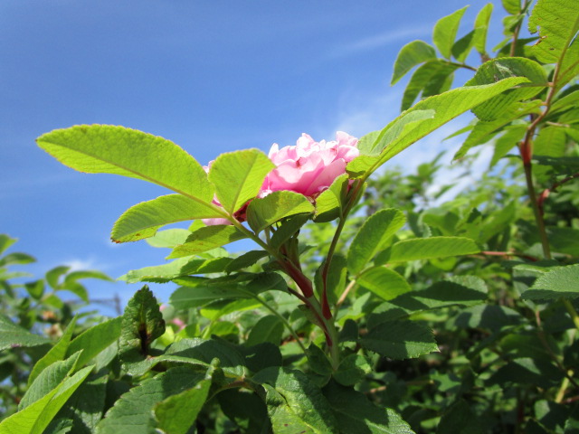 20250725_100305.JPG