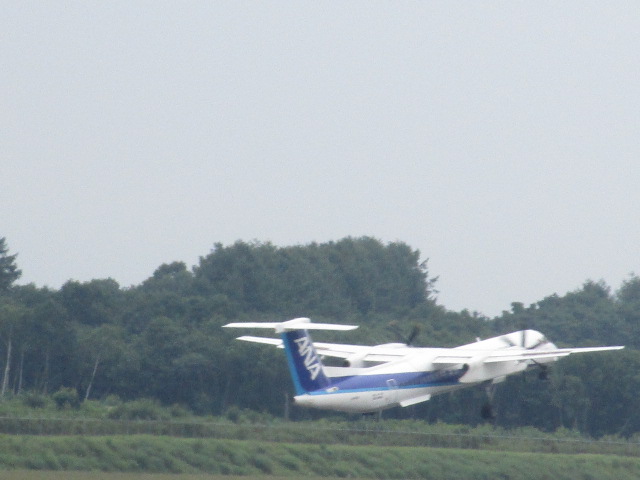 20250726_102357.JPG
