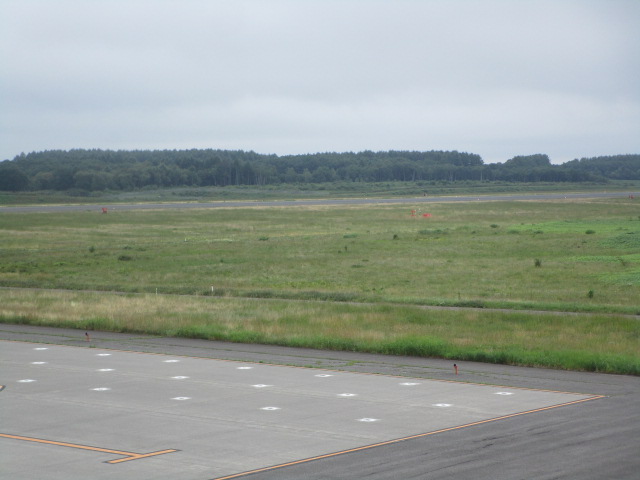 20250728_095909.JPG