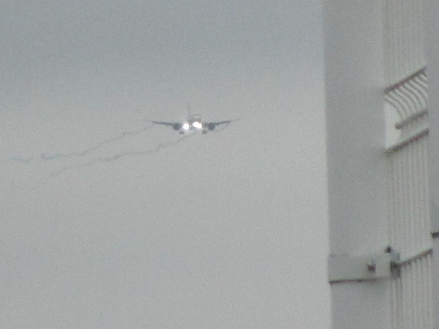 20250728_153128.JPG