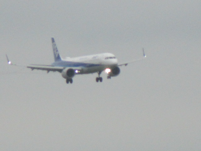 20250728_153158.JPG