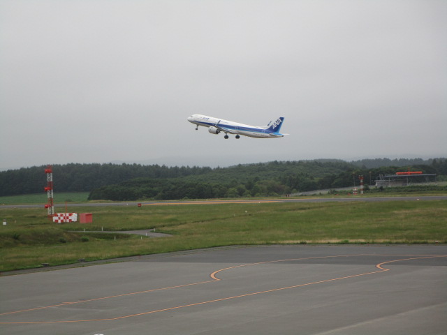 20250728_154131.JPG