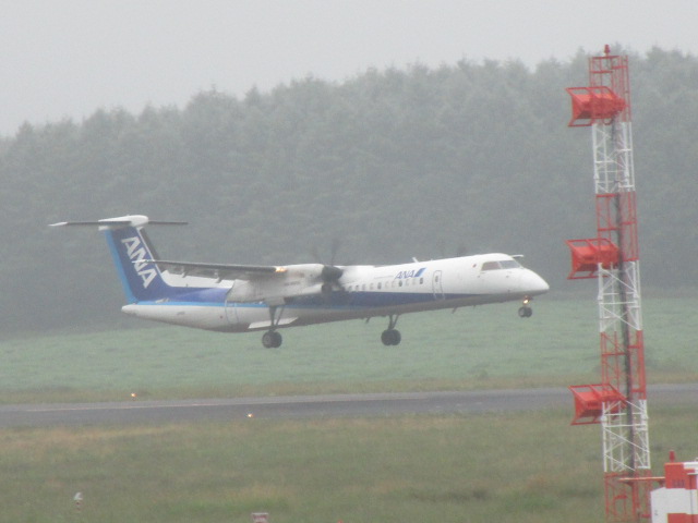 20250729_095416.JPG