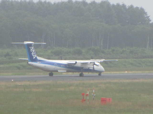 20250729_095447.JPG