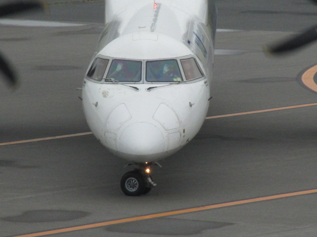 20250729_095534.JPG