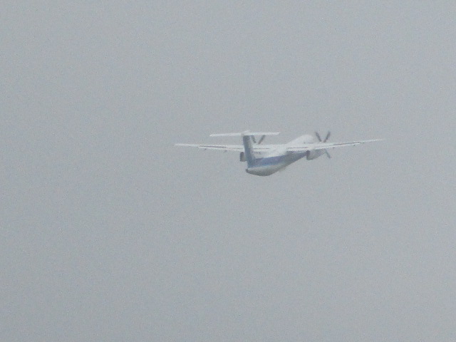20250729_095715.JPG