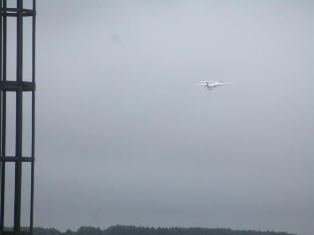 20250730_102723.JPG