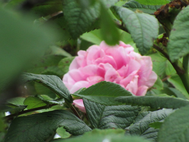 20250804_101313.JPG