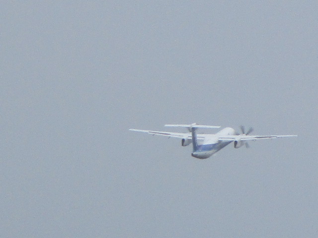 20250805_100435.JPG