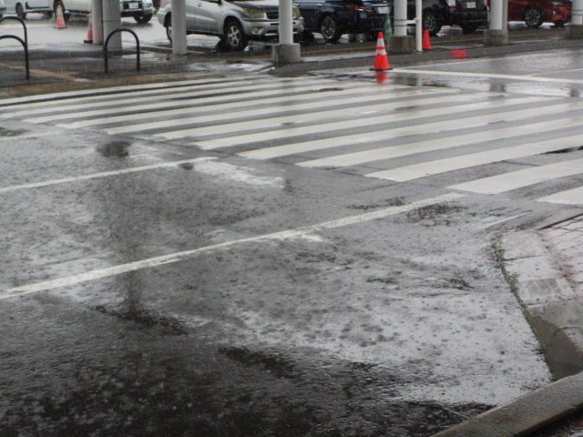 20250805_100601.JPG