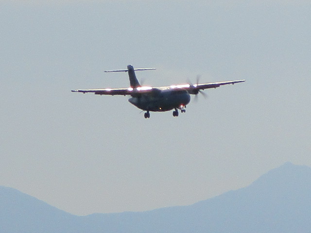 20250805_162003.JPG