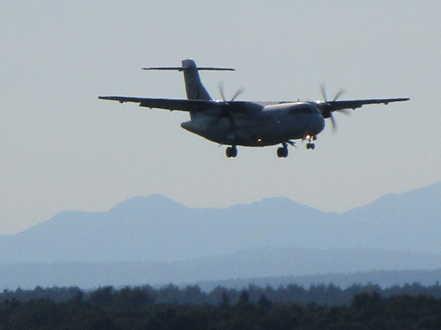 20250805_162019.JPG