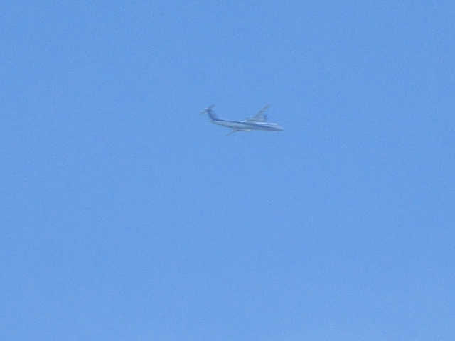 20250806_095800.JPG