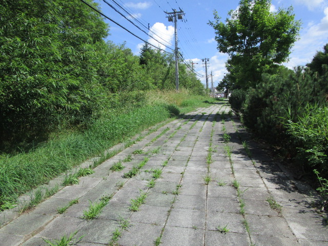 20250806_095954.JPG