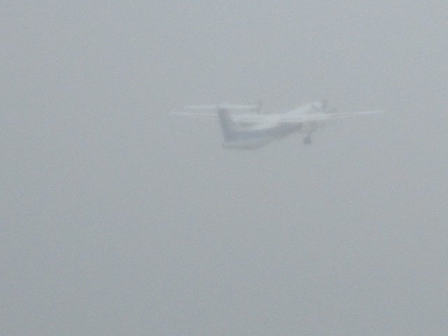 20250807_100042.JPG