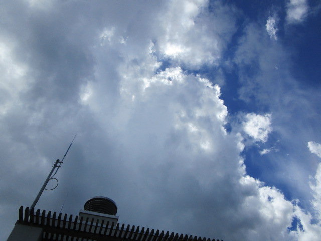 20250808_115753.JPG