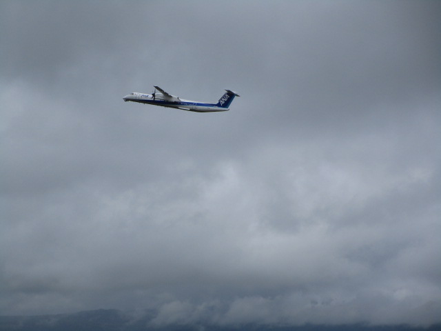20250809_095547.JPG