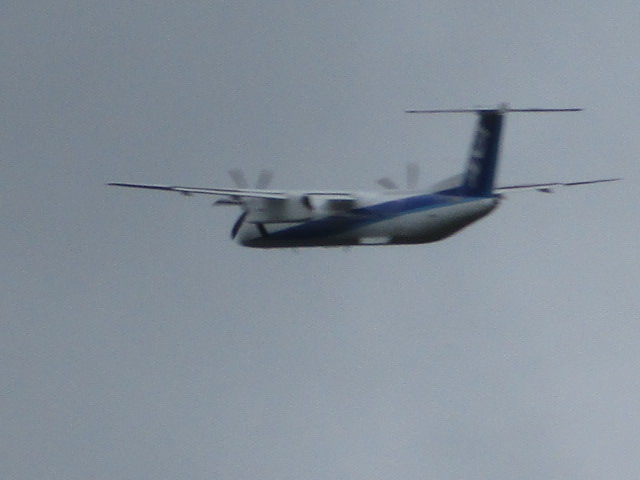 20250809_095606.JPG