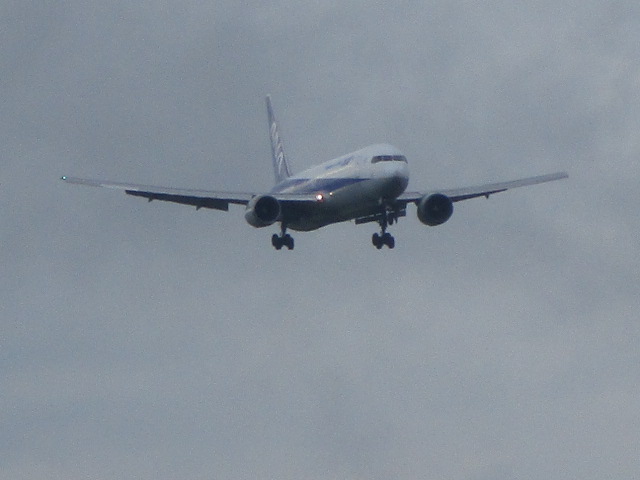 20250810_161517.JPG