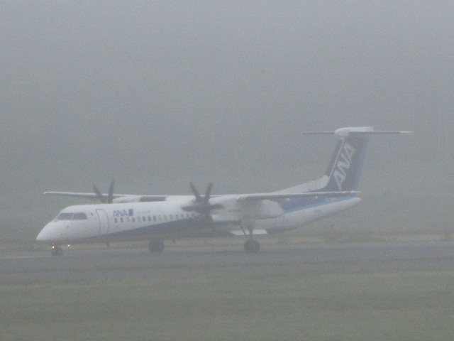 20250811_090038.JPG