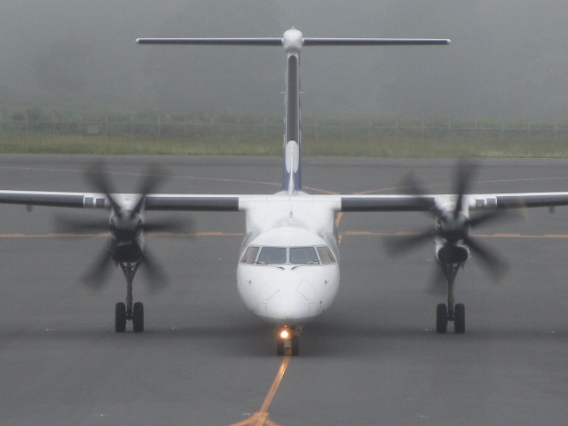 20250811_090113.JPG