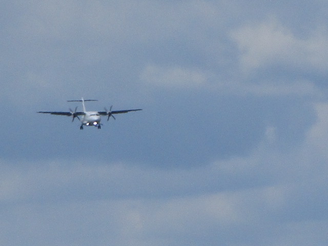 20250813_110907.JPG
