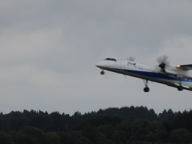 20250815_094206.JPG