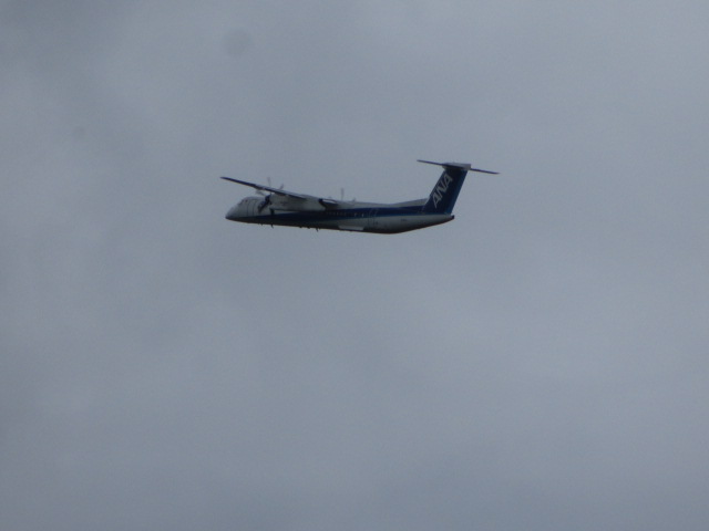 20250815_094221.JPG