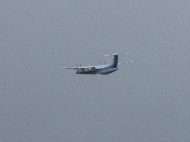 20250815_094236.JPG