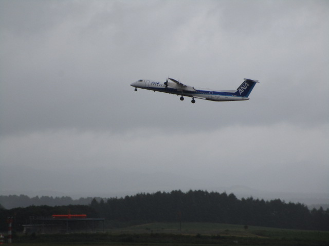 20250819_094448.JPG