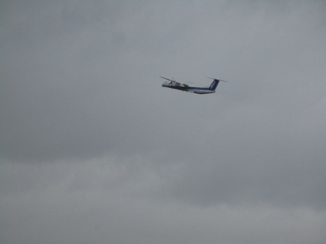 20250819_094502.JPG