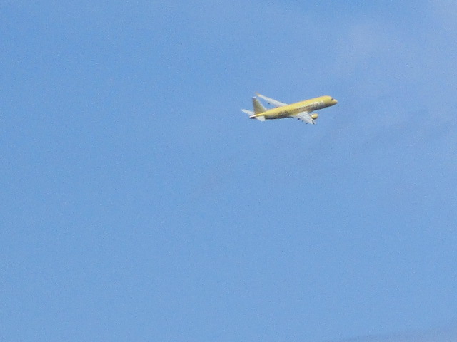 20250821_122731.JPG