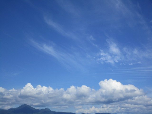 20250822_094225.JPG