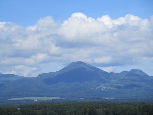 20250822_094241.JPG