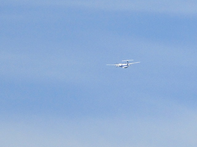 20250822_094556.JPG