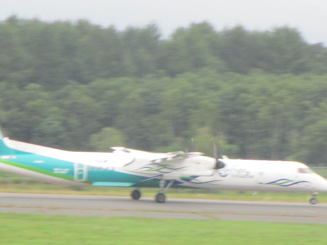 20250825_093136.JPG