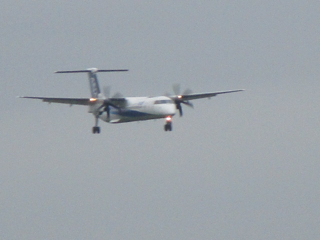 20250825_131242.JPG