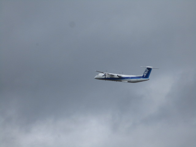 20250826_100118.JPG