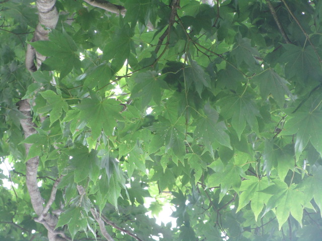 20250826_100623.JPG