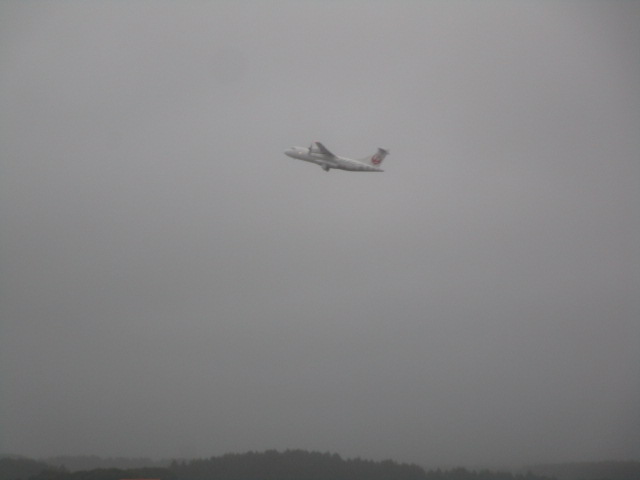 20250826_165630.JPG