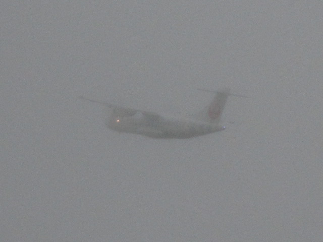 20250826_165646.JPG