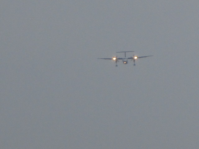 20250827_094055.JPG