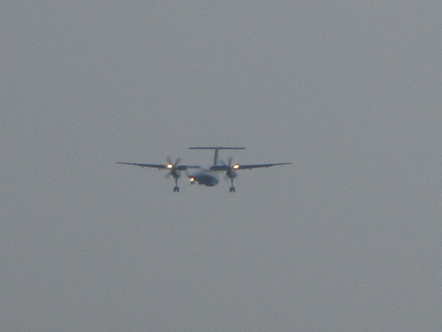20250827_094116.JPG