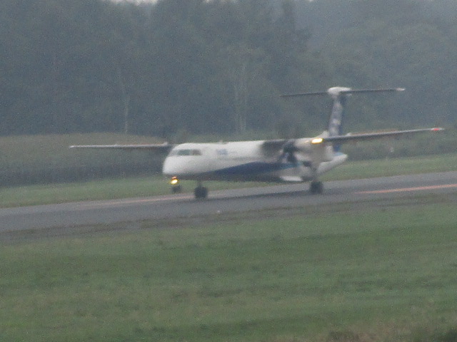 20250827_094204.JPG