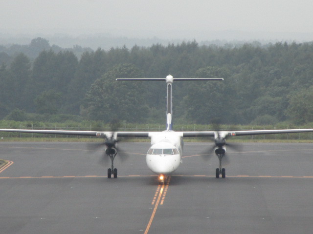 20250827_094241.JPG