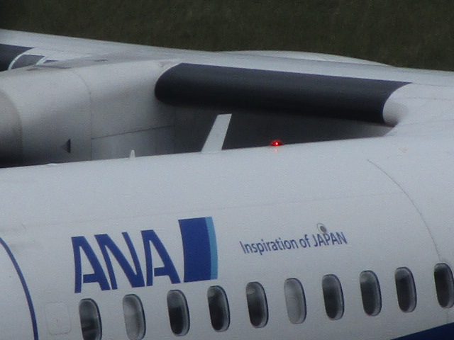 20250827_094309.JPG