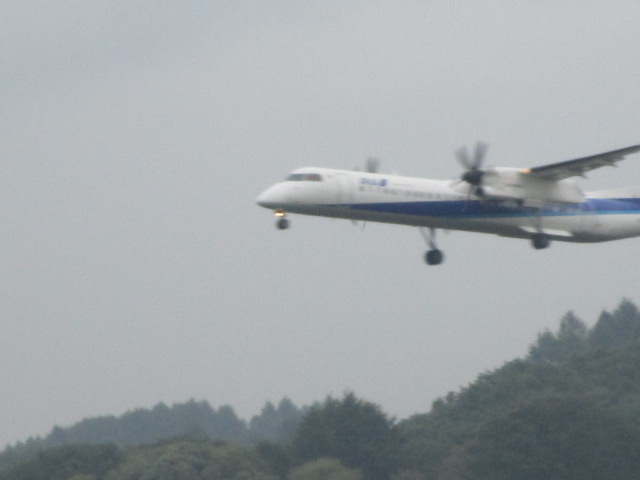 20250827_094401.JPG