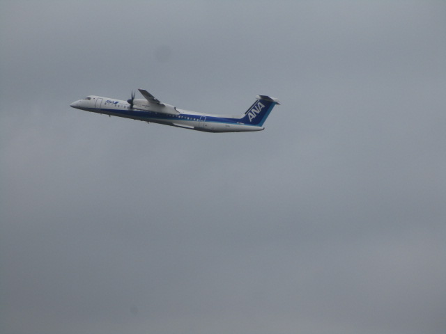 20250827_094420.JPG