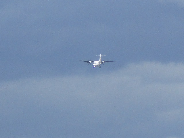 20250828_164405.JPG