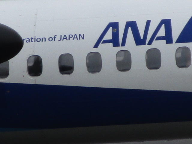 20250901_101441.JPG
